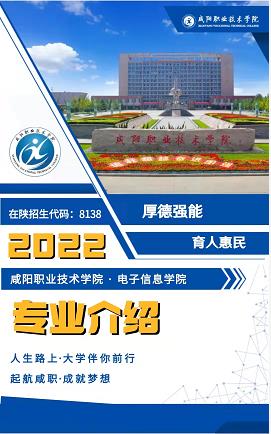 bst365专业介绍